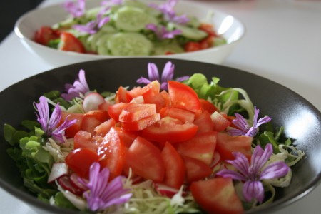 Sapori e colori dall'orto